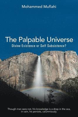 bokomslag Palpable Universe