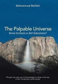 bokomslag Palpable Universe