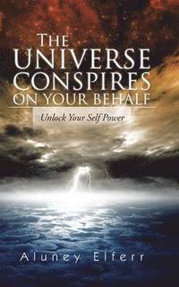 bokomslag The Universe Conspires on Your Behalf