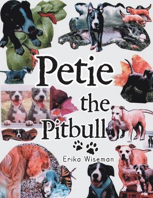 Petie the Pitbull 1
