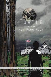 bokomslag Turtle in the Hot Plum Moon