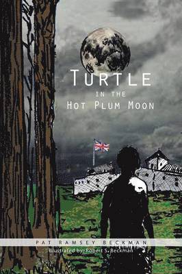 Turtle in the Hot Plum Moon 1