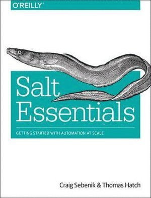 bokomslag Salt Essentials