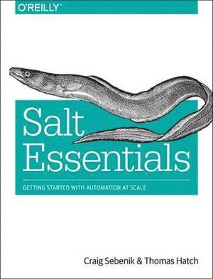 Craig Sebenik, Thomas Hatch - Salt Essentials, Häftad