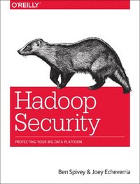 bokomslag Hadoop Security