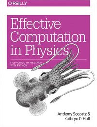 bokomslag Effective Computation in Physics