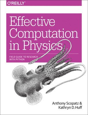 Effective Computation in Physics 1