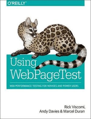 Rick Viscomi, Andy Davies, Marcel Duran - Using WebPageTest, Häftad