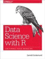 bokomslag R for Data Science: Visualize, Model, Transform, Tidy, and Import Data