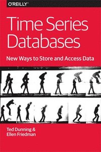 bokomslag Time Series Databases  New Ways to Store and Acces Data