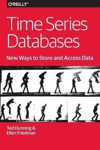 bokomslag Time Series Databases - New Ways to Store and Acces Data