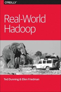 bokomslag RealWorld Hadoop