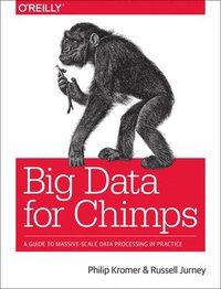 bokomslag Big Data for Chimps