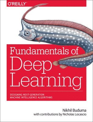 Fundamentals of Deep Learning 1