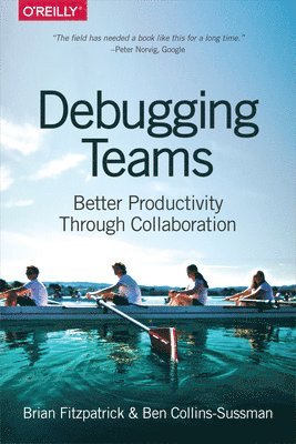 bokomslag Debugging Teams