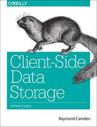 bokomslag ClientSide Data Storage