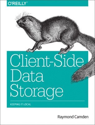 ClientSide Data Storage 1