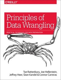 bokomslag Principles of Data Wrangling
