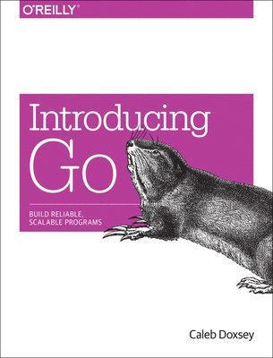 bokomslag Introducing Go