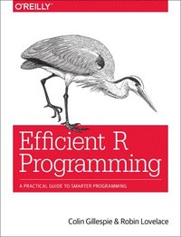 bokomslag Efficient R Programming
