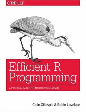 Colin Gillespie, Robin Lovelace - Efficient R Programming, Häftad