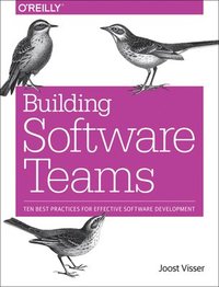 bokomslag Building Software Teams
