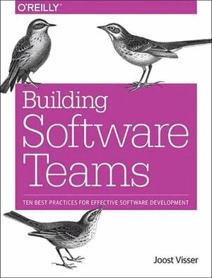 Joost Visser, Sylvan Rigal, Gijs Wijnholds, Zeeger Lubsen - Building Software Teams, Häftad