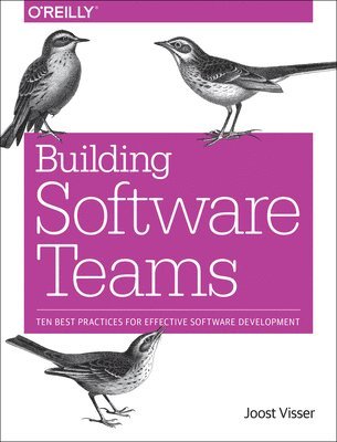 Building Software Teams 1