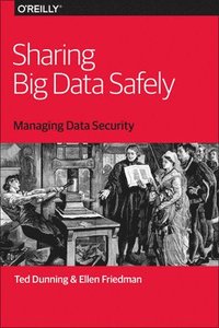 bokomslag Sharing Big Data Safely