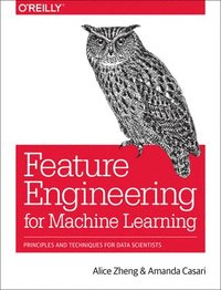 bokomslag Feature Engineering for Machine Learning