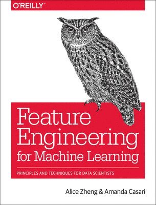 Feature Engineering for Machine Learning 1