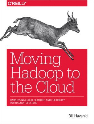 bokomslag Moving Hadoop in the Cloud