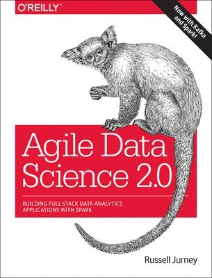 bokomslag Agile Data Science 2.0