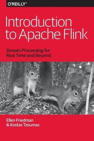 bokomslag Introduction to Apache Flink