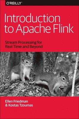 Ellen Friedman, Kostas Tzoumas, M.D. Friedman, Ellen - Introduction to Apache Flink, Häftad