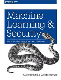 bokomslag Machine Learning and Security