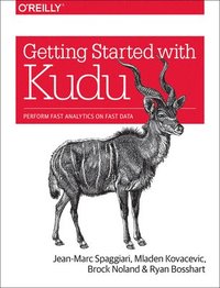 bokomslag Getting Started with Kudu
