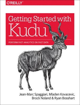 bokomslag Getting Started with Kudu
