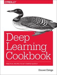 bokomslag Deep Learning Cookbook