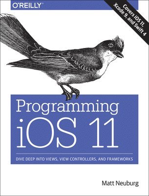 Programming iOS 11 1