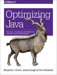 bokomslag Optimizing Java