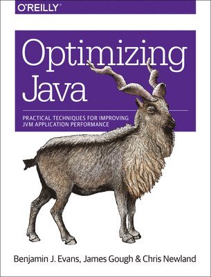 Optimizing Java 1