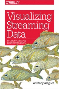 bokomslag Visualizing Streaming Data