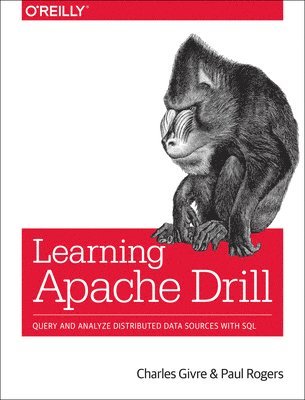 bokomslag Learning Apache Drill