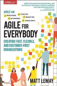 bokomslag Agile for Everybody