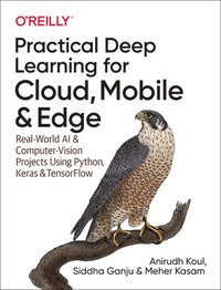 bokomslag Practical Deep Learning for Cloud and Mobile