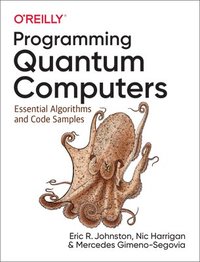 bokomslag Programming Quantum Computers