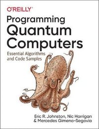 bokomslag Programming Quantum Computers