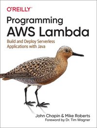 bokomslag Programming AWS Lambda