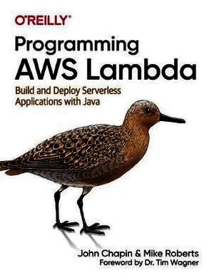John Chapin, Mike Roberts - Programming AWS Lambda, Häftad